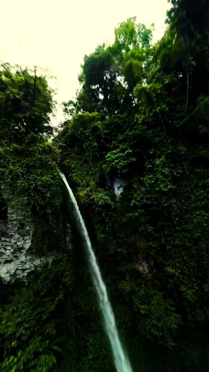 穿越雨林直击白瀑